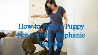 How to Train a Puppy
Not to Bite - Stephanie
Taunton
 