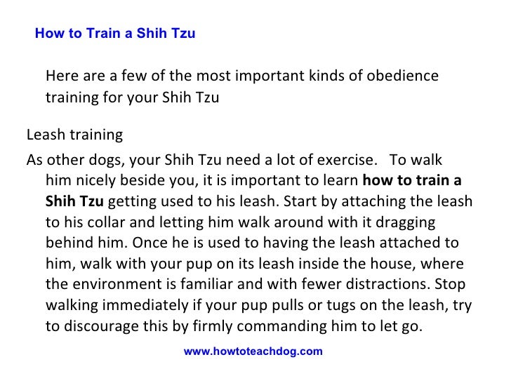 how to teach a shih tzu tricks how to a shih tzu how to teach a shih tzu tricks how to a shih tzu