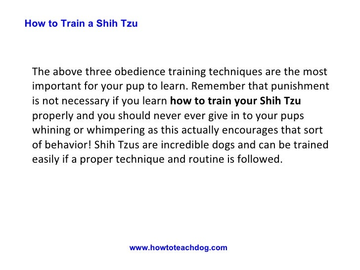 how to housebreak a shih tzu how to a shih tzu how to housebreak a shih tzu how to a shih tzu