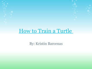 How to Train a Turtle  By: Kristin Barcenas   