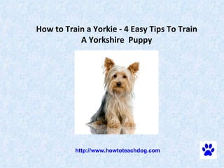 How to Train a Yorkie - 4 Easy Tips To Train A Yorkshire  Puppy   http://www.howtoteachdog.com 