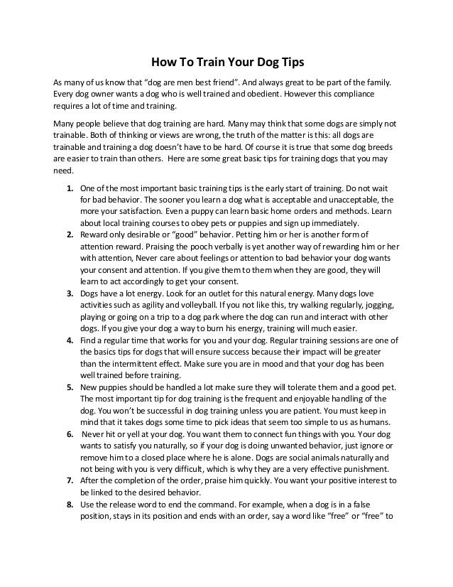 How to train your dog tips