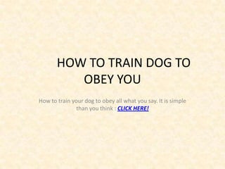 HOW TO TRAIN DOG TO
          OBEY YOU
How to train your dog to obey all what you say. It is simple
               than you think : CLICK HERE!
 