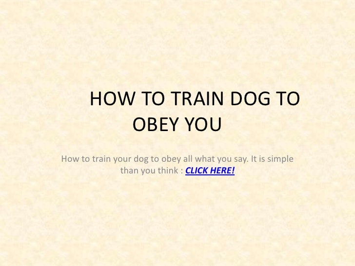how to your to obey you how to to obey you how to your to obey you how to to obey you