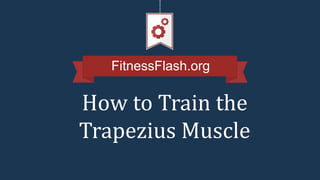 FitnessFlash.org
How to Train the
Trapezius Muscle
 