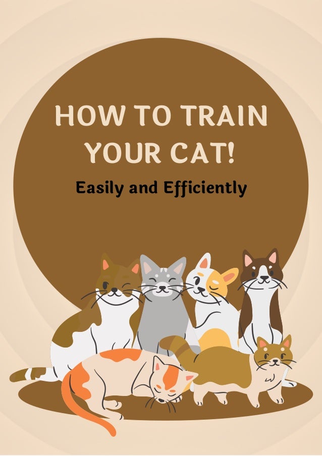 HOW TO TRAIN
YOUR CAT!


Easily and Efficiently


 