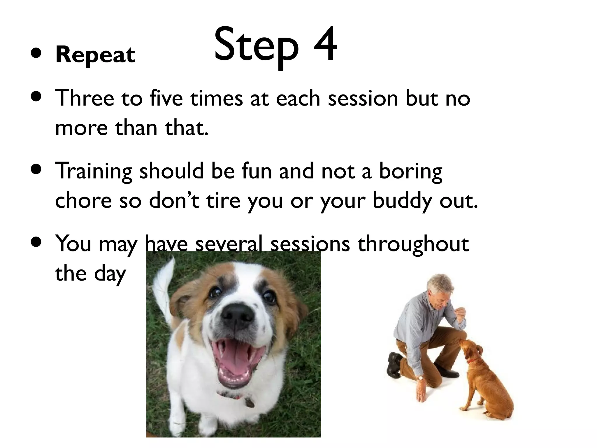 How to Train a Dog No Mistakes: Expert Tips for Success