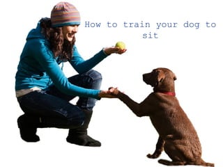 How to train your dog to
          sit
 