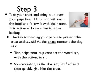 Step 3
•   Take your treat and bring it up over
    your pups head. He or she will smell
    the food and follow it with their nose.
    This action will cause him to sit or
    backup.
•    The key to training your pup is to present the
     treat and say sit! At the exact moment the dog
     sits!
    •   This helps your pup connect the word, sit,
        with the action, to sit.
    •   So remember, as the dog sits, say "sit" and
        then quickly give him the treat.
 