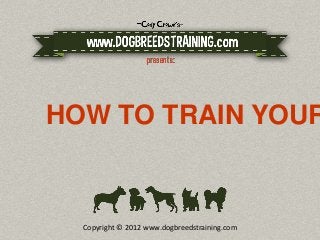 HOW TO TRAIN YOUR PIT BULL




      Copyright © 2012 www.dogbreedstraining.com
 