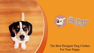The Best Designer Dog Clothes
For Your Puppy
 