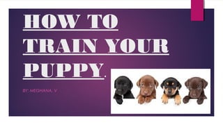 HOW TO
TRAIN YOUR
PUPPY.
BY: MEGHANA. V
 