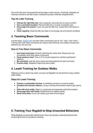 How to Train Your Ragdoll Cat_ Tips and Techniques.docx