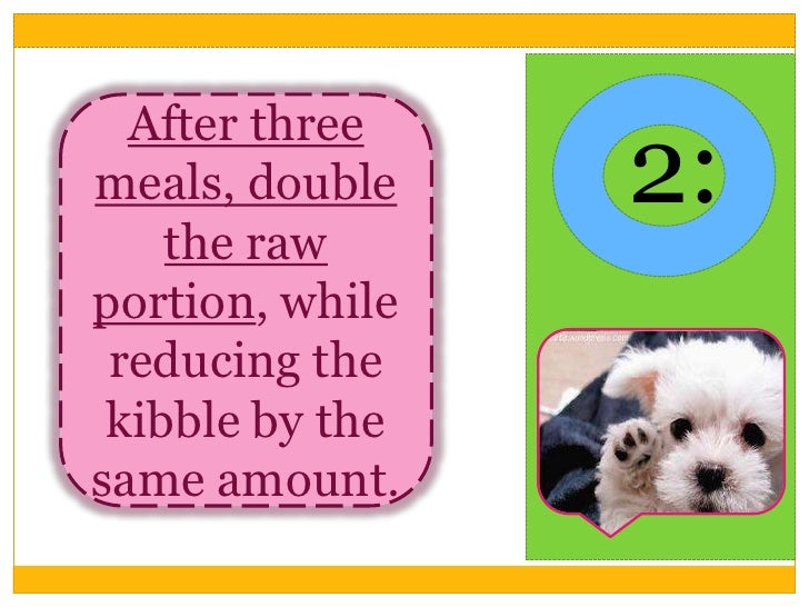 Dog Raw Food Transition Symptoms Dog Raw Food Transition Symptoms