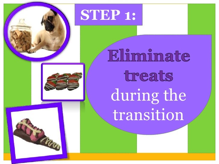 Transition To Raw Dog Food Transition To Raw Dog Food