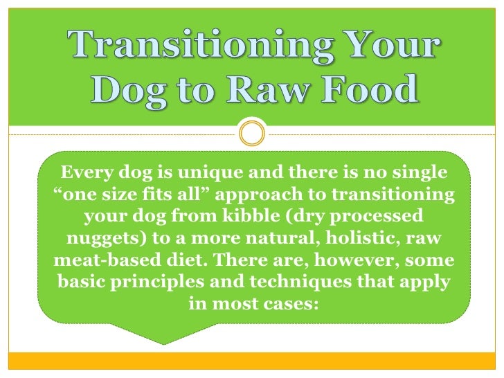 How to Transition Your Dog to Raw Food