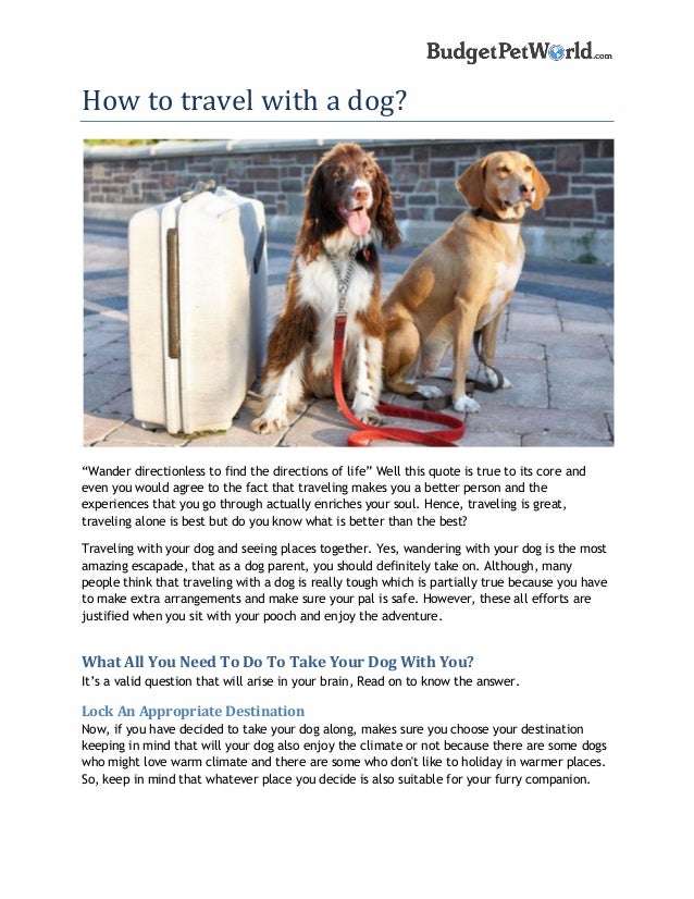 How To Travel With A Dog