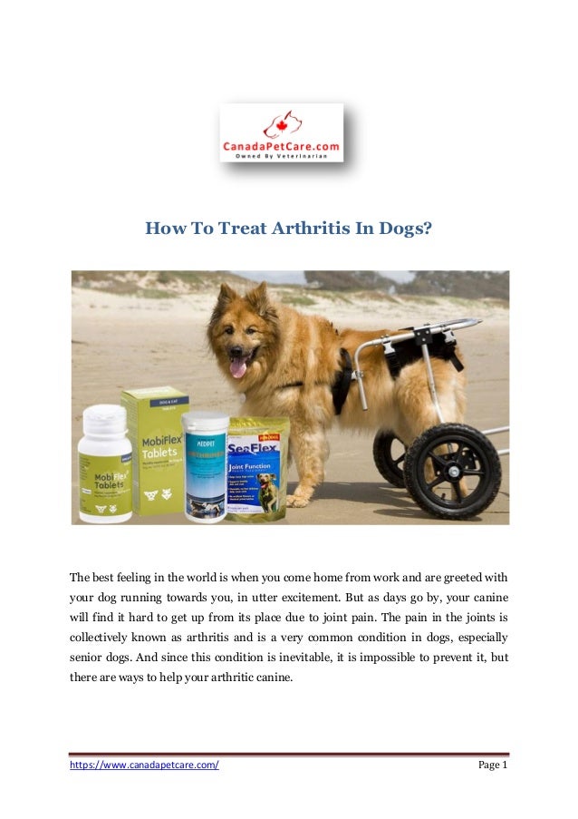 best tablets for dogs with arthritis