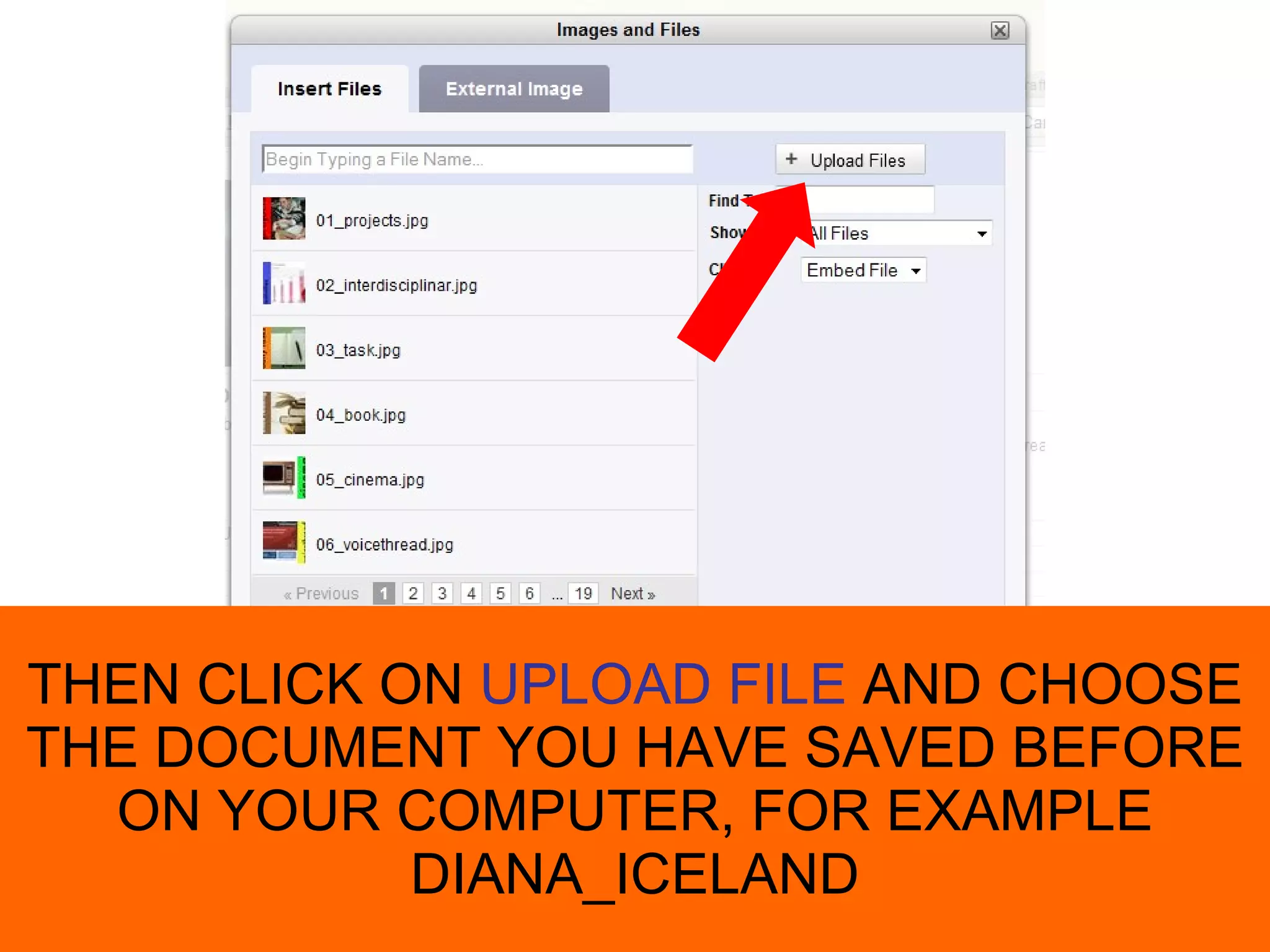 THEN CLICK ON  UPLOAD FILE  AND CHOOSE THE DOCUMENT YOU HAVE SAVED BEFORE ON YOUR COMPUTER, FOR EXAMPLE DIANA_ICELAND 