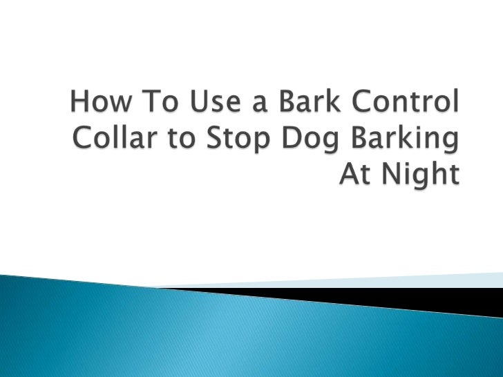 how to use a collar on a how to use a bark collar to stop barking at how to use a collar on a how to use a bark collar to stop barking at