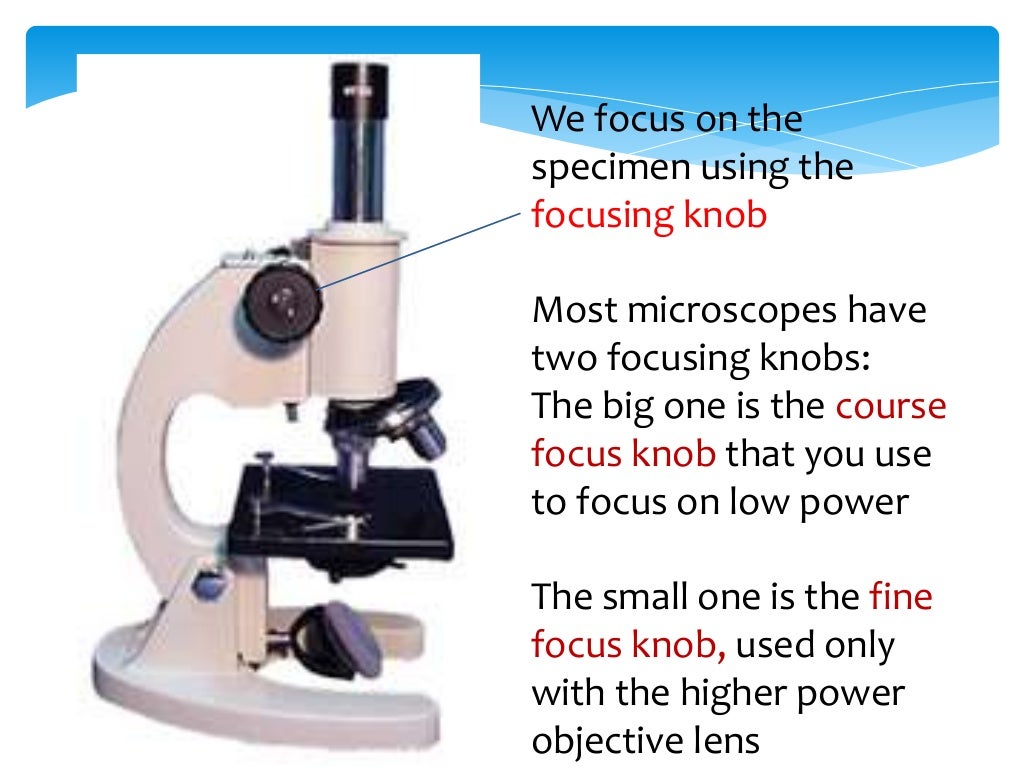 How to use a microscope