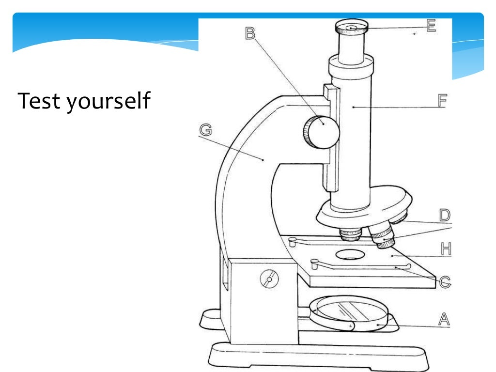 How to use a microscope