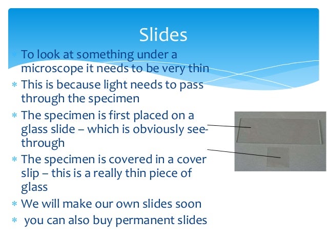 How To Use A Microscope