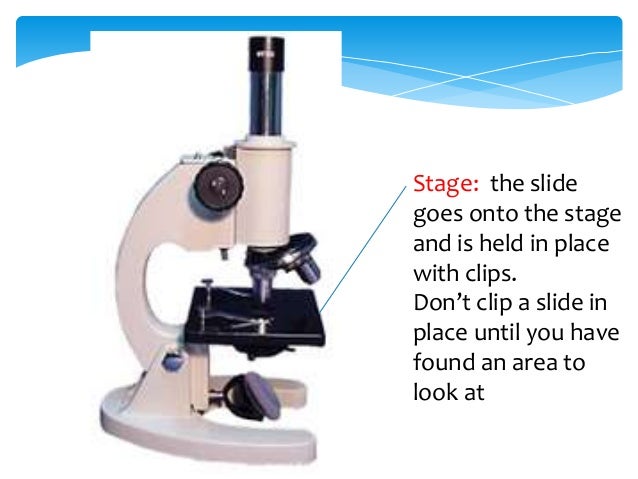 How To Use A Microscope - 