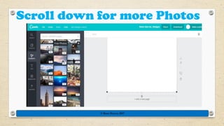 Scroll down for more Photos
© Rose Harvey 2017
 