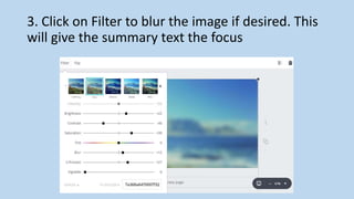 3. Click on Filter to blur the image if desired. This
will give the summary text the focus
 