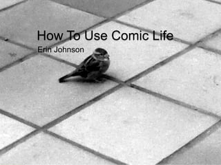 How To Use Comic Life
Erin Johnson
 