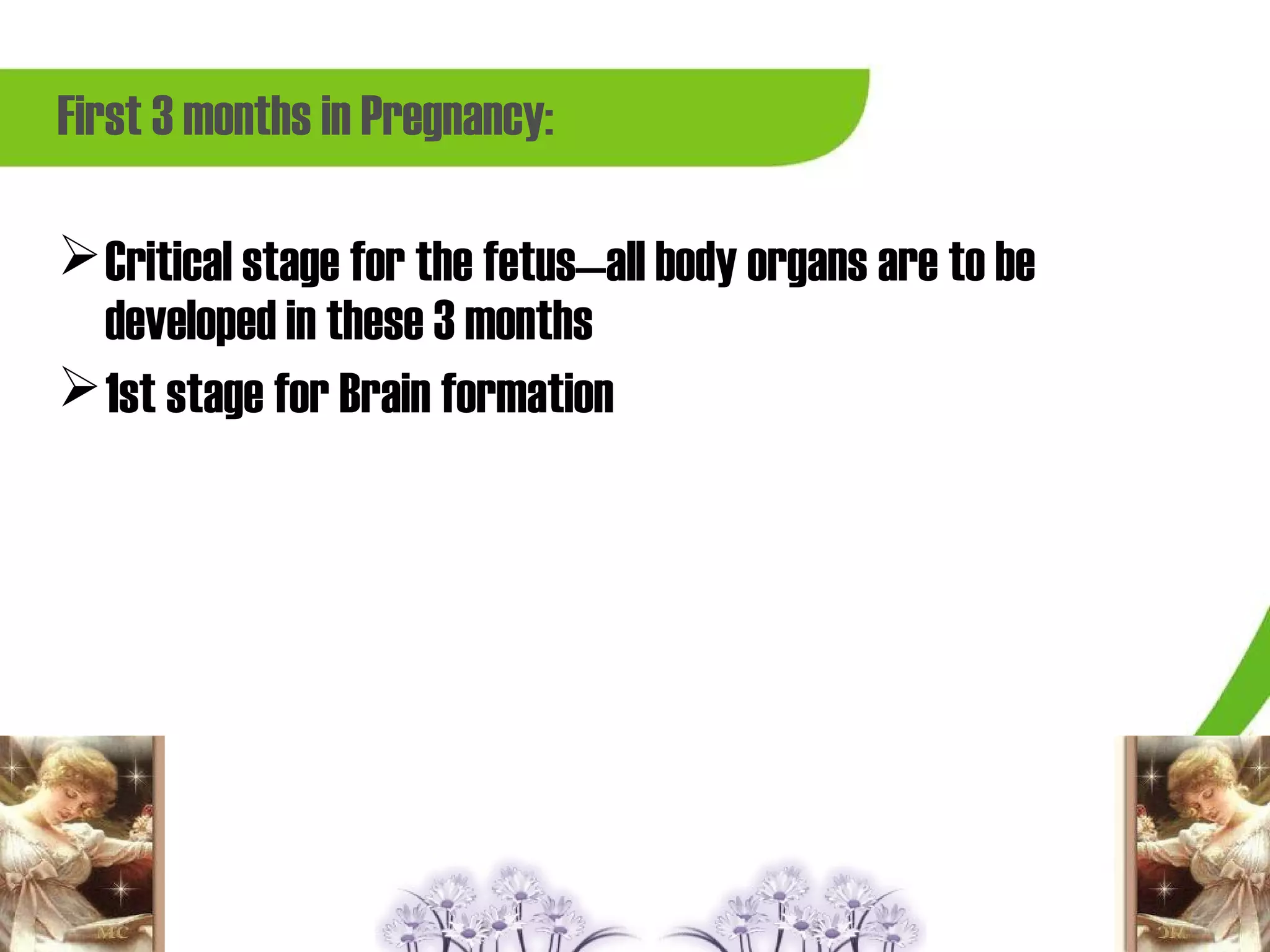 First 3 months in Pregnancy:

 Critical stage for the fetus—all body organs are to be
  developed in these 3 months
 1st stage for Brain formation
 