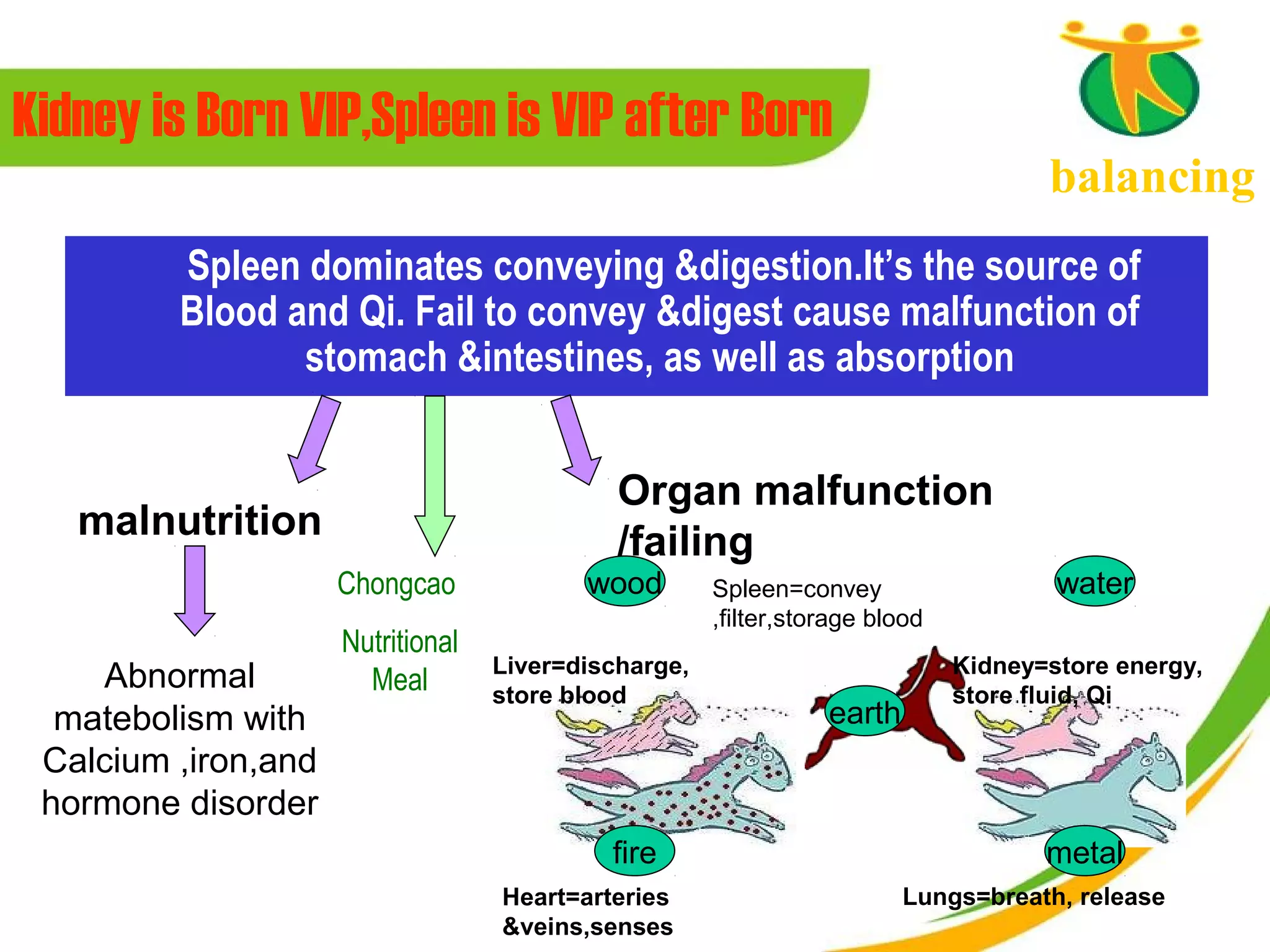 Kidney is Born VIP,Spleen is VIP after Born
                                                                                     balancing
      　 Spleen dominates conveying &digestion.It’s the source of
       Blood and Qi. Fail to convey &digest cause malfunction of
              stomach &intestines, as well as absorption


                                             Organ malfunction
   malnutrition 　                            /failing
   　　　          Chongcao                  wood        Spleen=convey                   water
                                                      ,filter,storage blood
                     Nutritional
                                   Liver=discharge,                           Kidney=store energy,
    Abnormal           Meal        store blood                                store fluid, Qi
  matebolism with                                                earth
 Calcium ,iron,and
 hormone disorder
                                            fire                                     metal
                                   Heart=arteries                        Lungs=breath, release
                                   &veins,senses
 