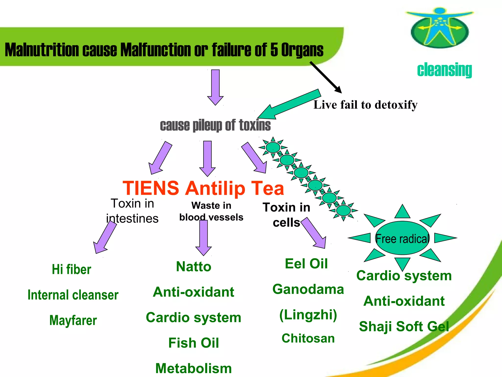 Malnutrition cause Malfunction or failure of 5 Organs
                                                                                cleansing
                                                           Live fail to detoxify
                  　　　　　 cause pileup of toxins




                       TIENS Antilip Tea
                   Toxin in        Waste in     Toxin in
                  intestines    blood vessels
                                                 cells
  　　　                                                                  Free radical

       Hi fiber                 Natto              Eel Oil
                                                                   Cardio system
   Internal cleanser      Anti-oxidant           Ganodama
                                                                     Anti-oxidant
       Mayfarer          Cardio system            (Lingzhi)
                                                                    Shaji Soft Gel
                               Fish Oil            Chitosan

                           Metabolism
 
