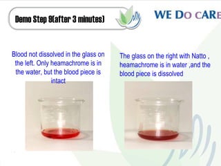 Demo Step 9(after 3 minutes)


Blood not dissolved in the glass on   The glass on the right with Natto ,
 the left. Only heamachrome is in     heamachrome is in water ,and the
 the water, but the blood piece is    blood piece is dissolved
                intact
 