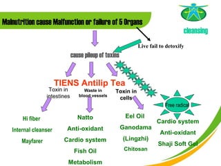 Malnutrition cause Malfunction or failure of 5 Organs
                                                                                cleansing
                                                           Live fail to detoxify
                  　　　　　 cause pileup of toxins




                       TIENS Antilip Tea
                   Toxin in        Waste in     Toxin in
                  intestines    blood vessels
                                                 cells
  　　　                                                                  Free radical

       Hi fiber                 Natto              Eel Oil
                                                                   Cardio system
   Internal cleanser      Anti-oxidant           Ganodama
                                                                     Anti-oxidant
       Mayfarer          Cardio system            (Lingzhi)
                                                                    Shaji Soft Gel
                               Fish Oil            Chitosan

                           Metabolism
 