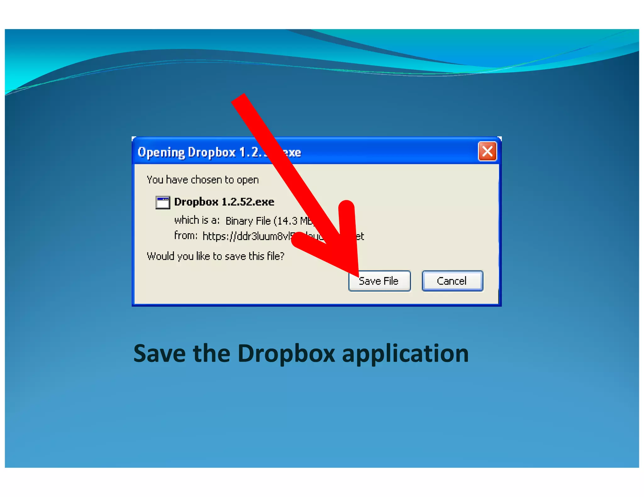 Save the Dropbox application
