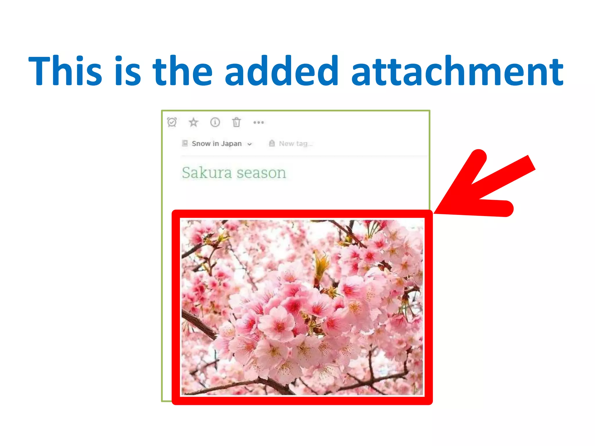 This is the added attachment
 