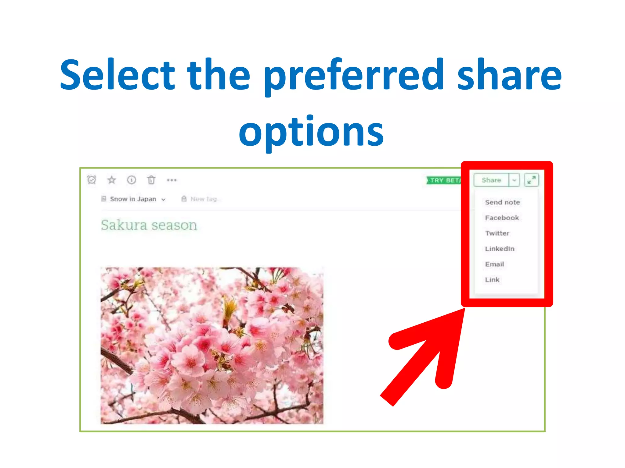Select the preferred share
options
 