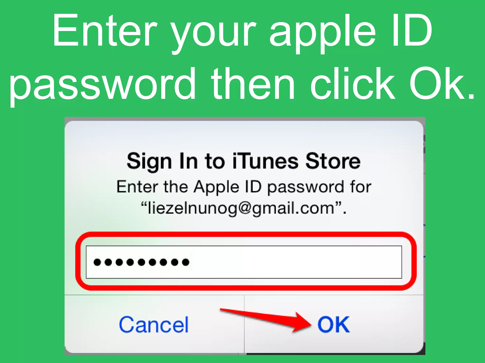 Enter your apple ID
password then click Ok.
 