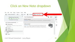 Click on New Note dropdown
© A1 Virtual Consultant - Levy Reyes 99
 