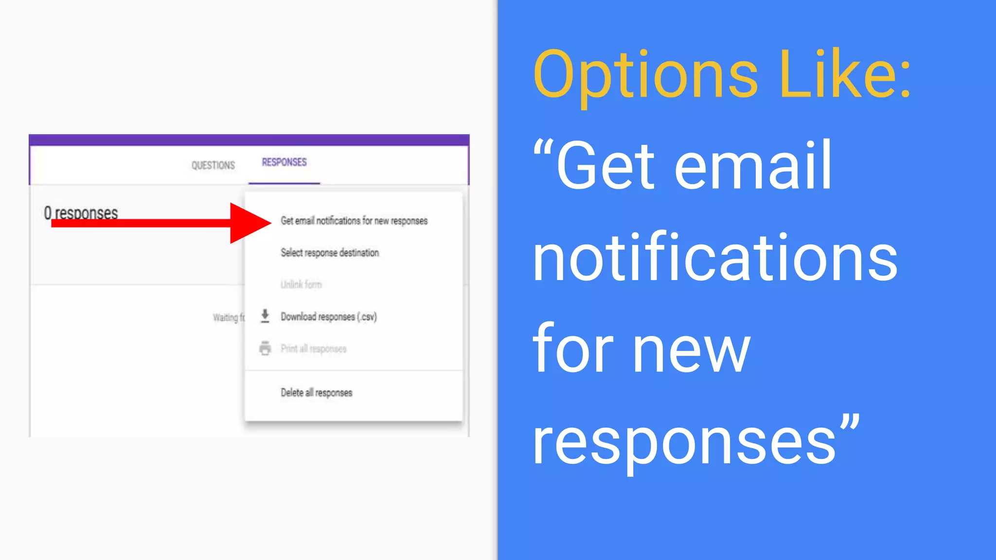 Options Like:
“Get email
notifications
for new
responses”
 