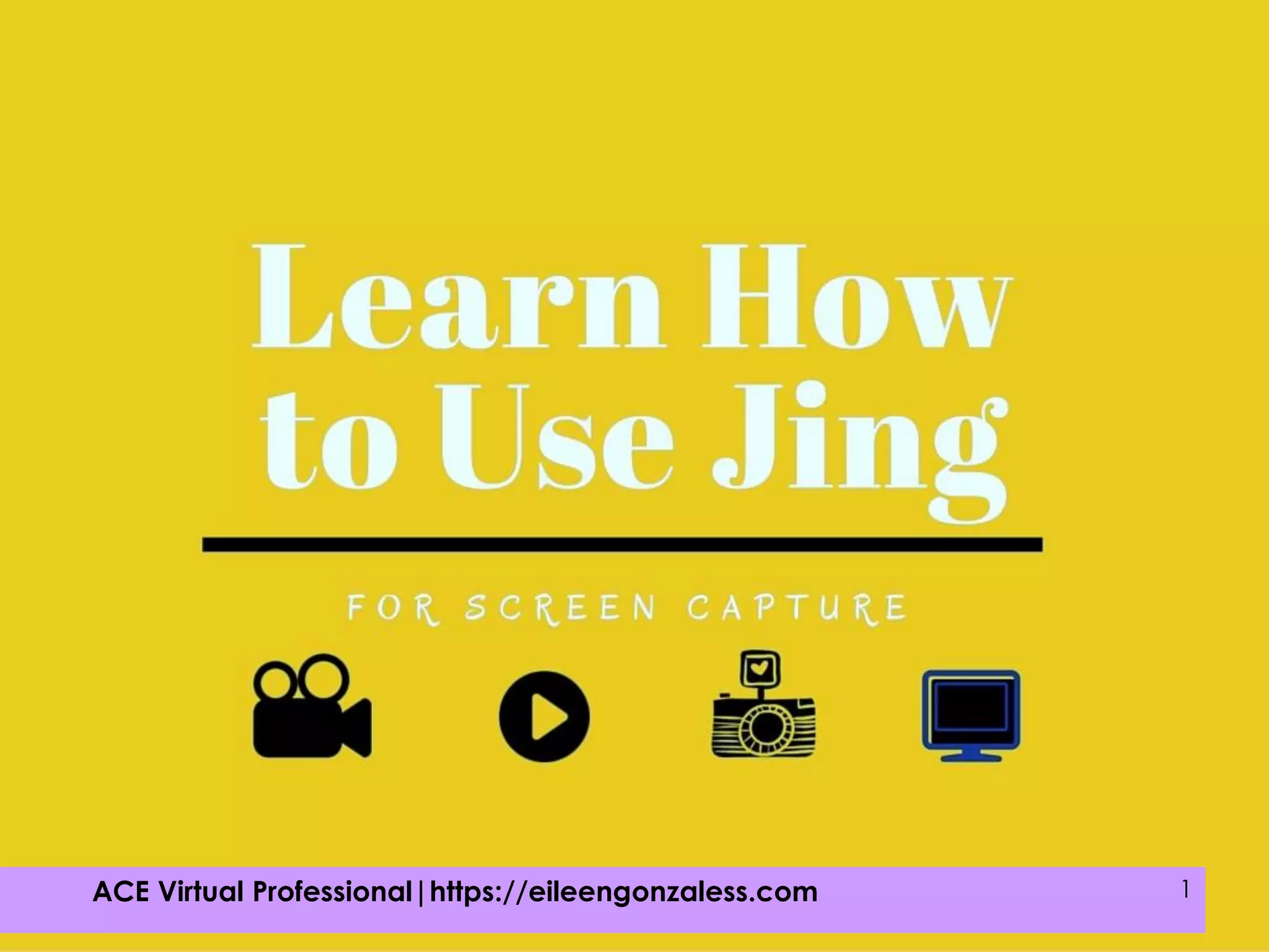 ACE Virtual Professional|https://eileengonzaless.com 1
 