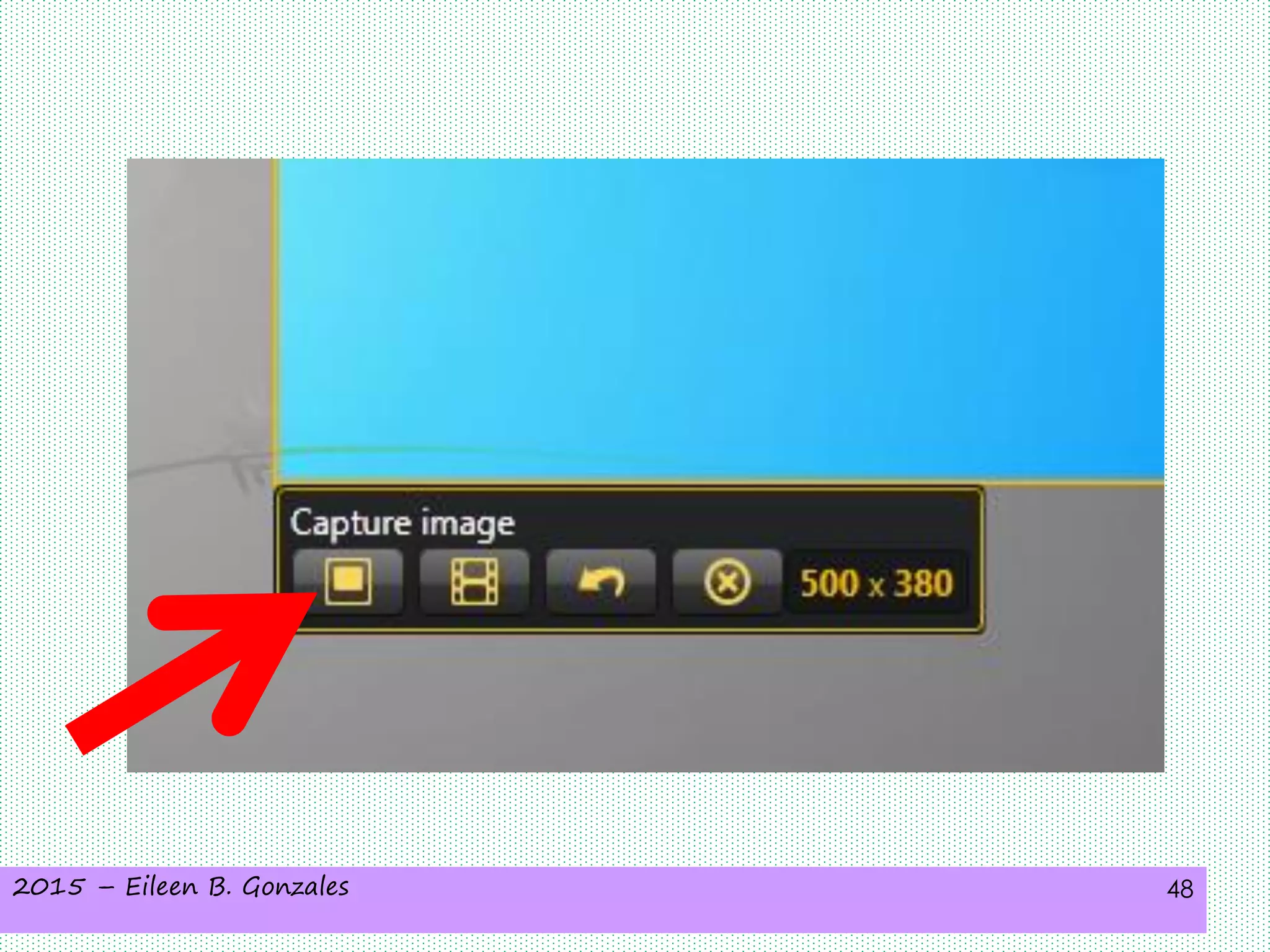 2015 – Eileen B. Gonzales 48
 