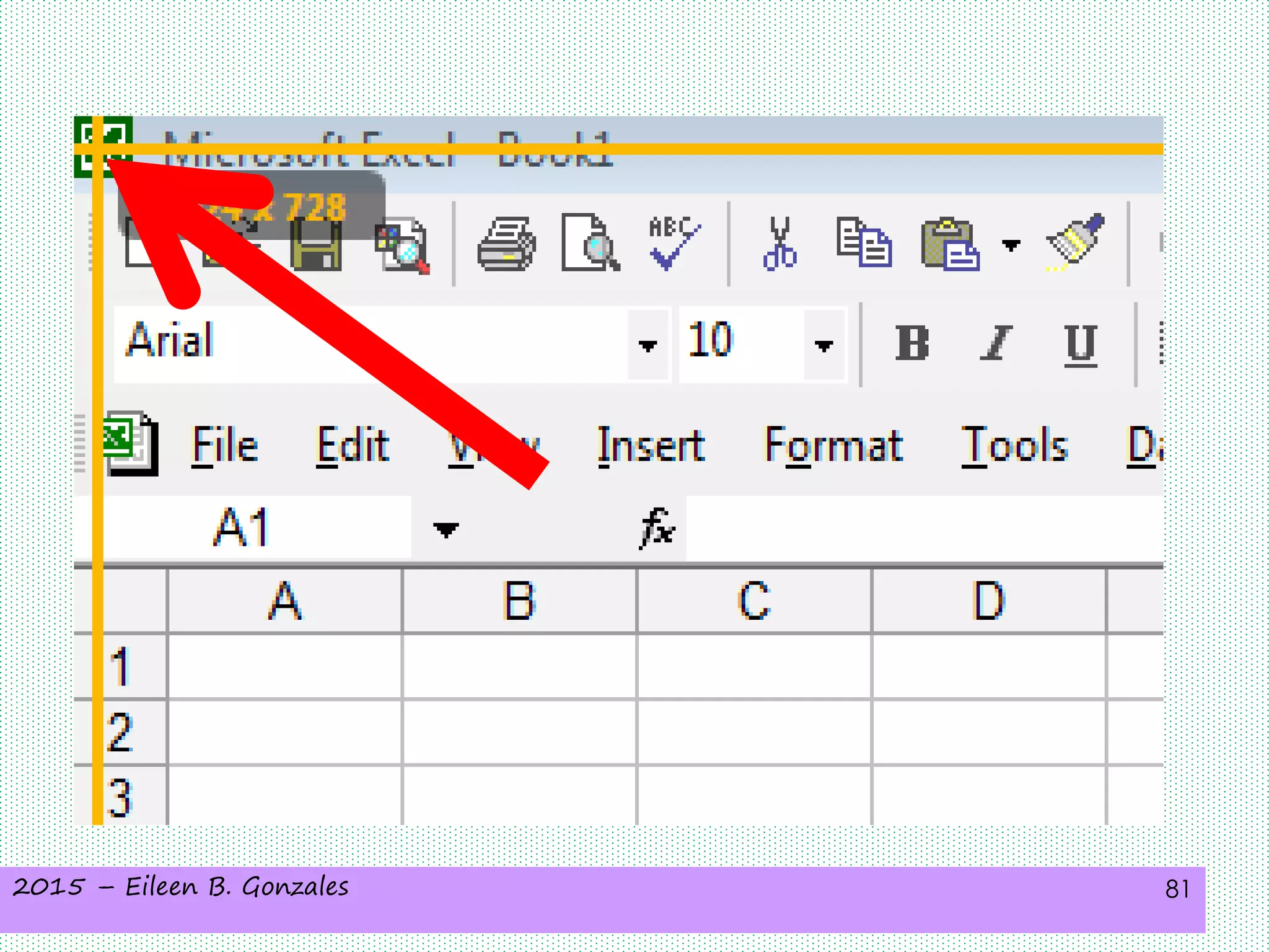 2015 – Eileen B. Gonzales 81
 