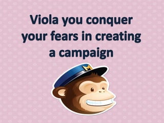 How to use mail chimp