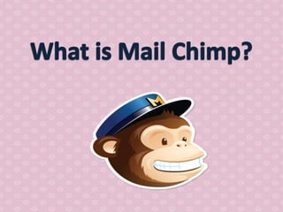How to use mail chimp