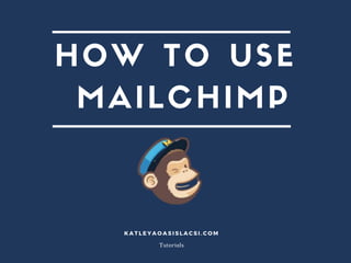 Step by step tutorial on Mailchimp