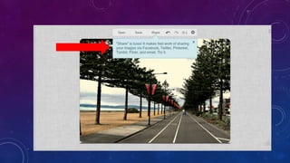 How to use Picmonkey