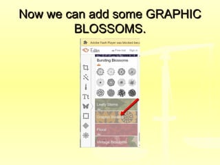 Now we can add some GRAPHICNow we can add some GRAPHIC
BLOSSOMS.BLOSSOMS.
 